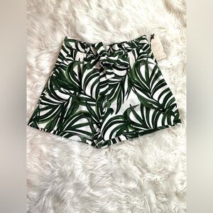 TROPICAL 🌴 SHORTS